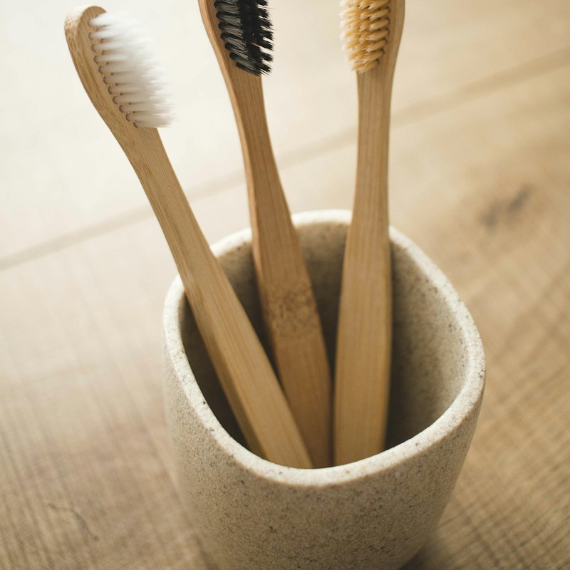 Bamboo Charcoal Toothbrush (Pack of 4)
