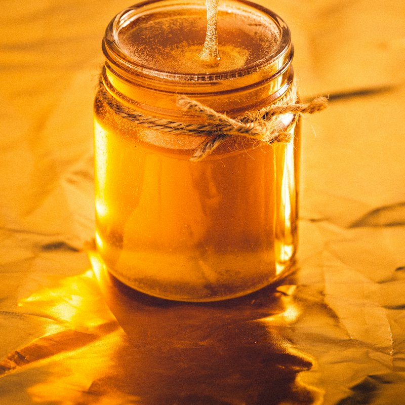 Wild Forest Honey 500 g