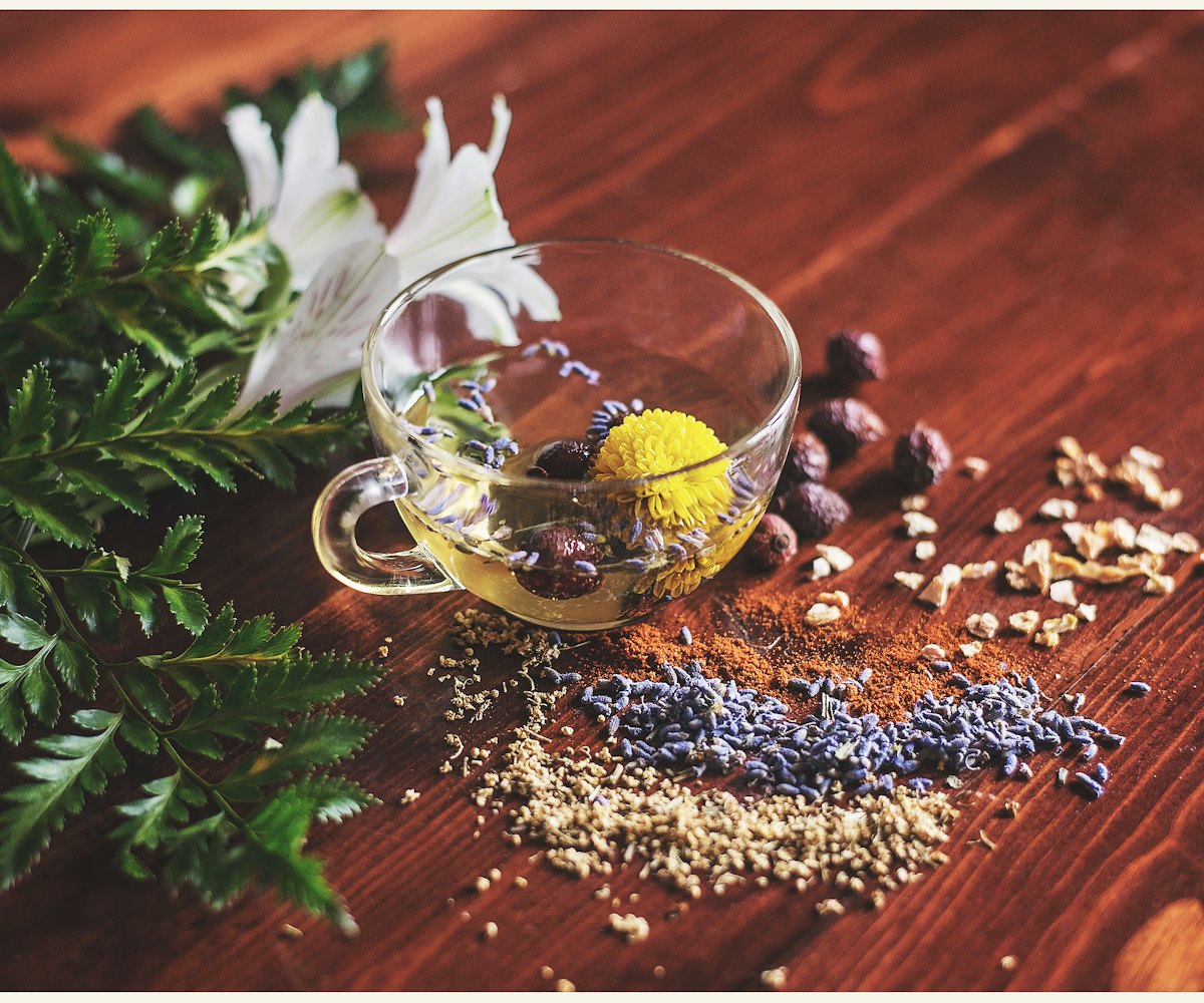 Nature-Powered Wellness for Every Indian Home